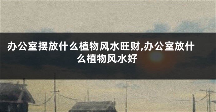 办公室摆放什么植物风水旺财,办公室放什么植物风水好