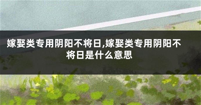 嫁娶类专用阴阳不将日,嫁娶类专用阴阳不将日是什么意思