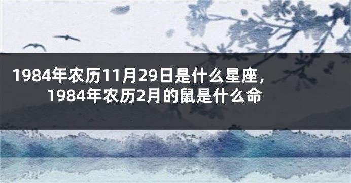 1984年农历11月29日是什么星座，1984年农历2月的鼠是什么命