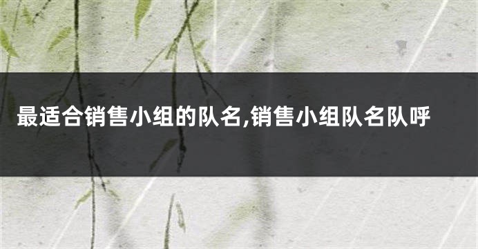 最适合销售小组的队名,销售小组队名队呼