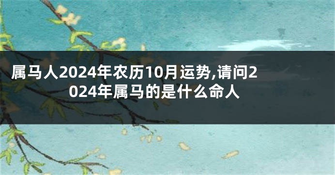 属马人2024年农历10月运势,请问2024年属马的是什么命人