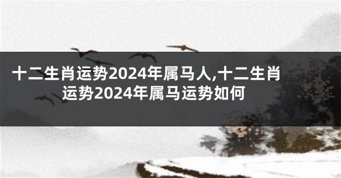 十二生肖运势2024年属马人,十二生肖运势2024年属马运势如何