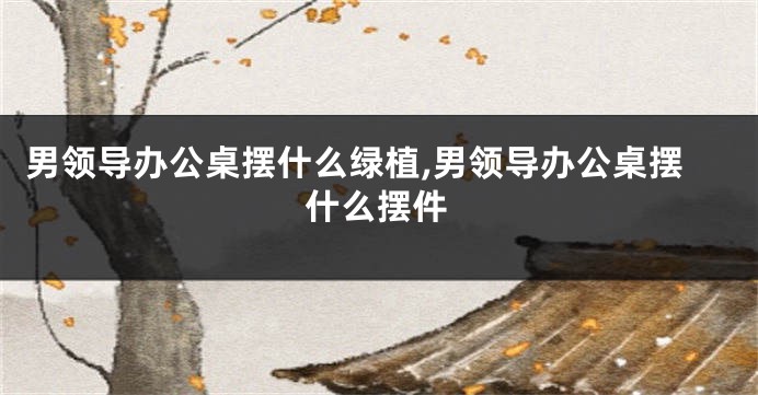 男领导办公桌摆什么绿植,男领导办公桌摆什么摆件