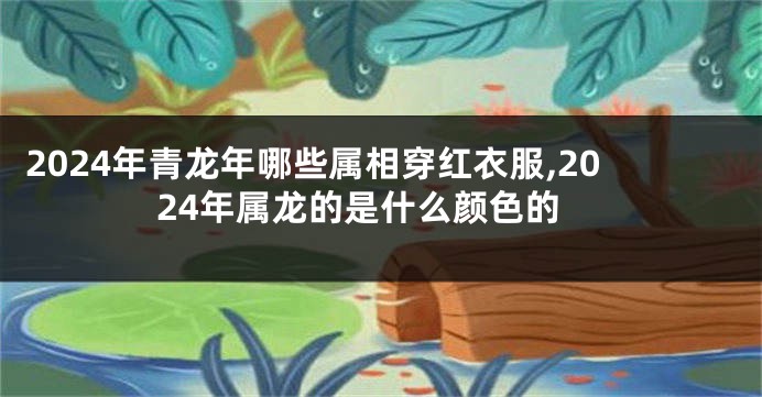2024年青龙年哪些属相穿红衣服,2024年属龙的是什么颜色的