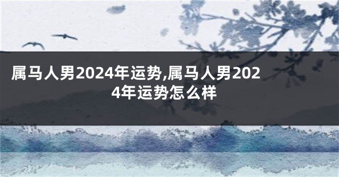 属马人男2024年运势,属马人男2024年运势怎么样