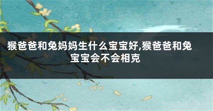 猴爸爸和兔妈妈生什么宝宝好,猴爸爸和兔宝宝会不会相克