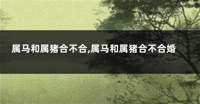 属马和属猪合不合,属马和属猪合不合婚