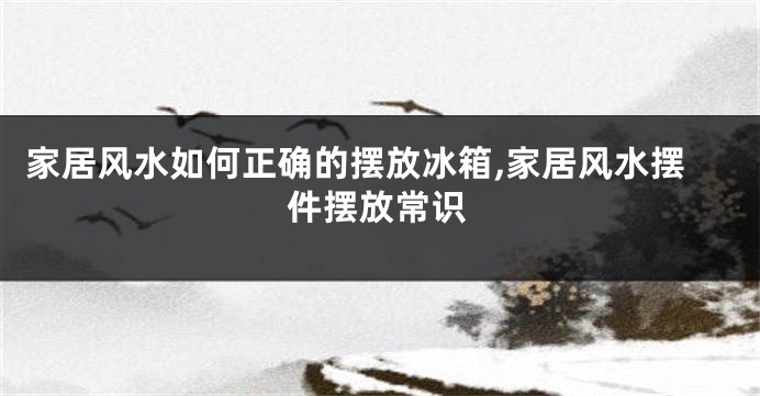 家居风水如何正确的摆放冰箱,家居风水摆件摆放常识