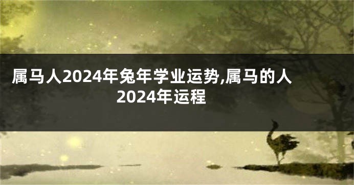 属马人2024年兔年学业运势,属马的人2024年运程