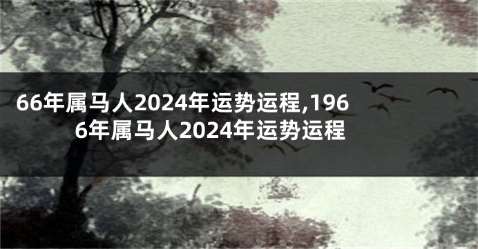 66年属马人2024年运势运程,1966年属马人2024年运势运程
