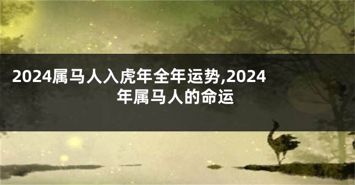 2024属马人入虎年全年运势,2024年属马人的命运