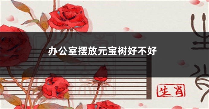 办公室摆放元宝树好不好
