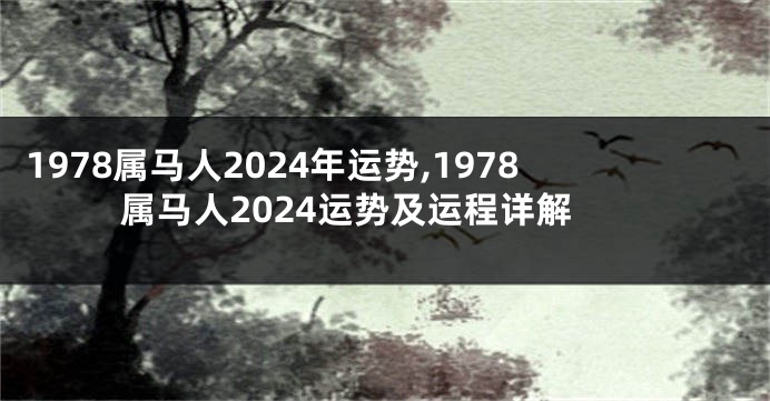 1978属马人2024年运势,1978属马人2024运势及运程详解