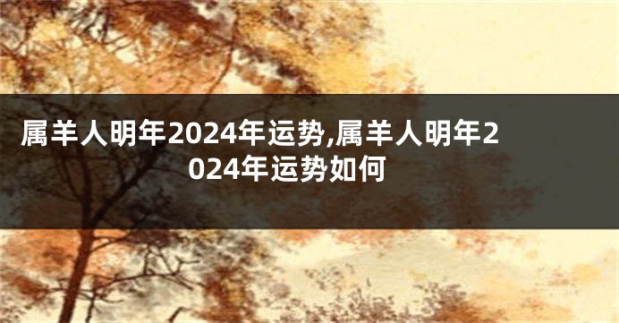属羊人明年2024年运势,属羊人明年2024年运势如何