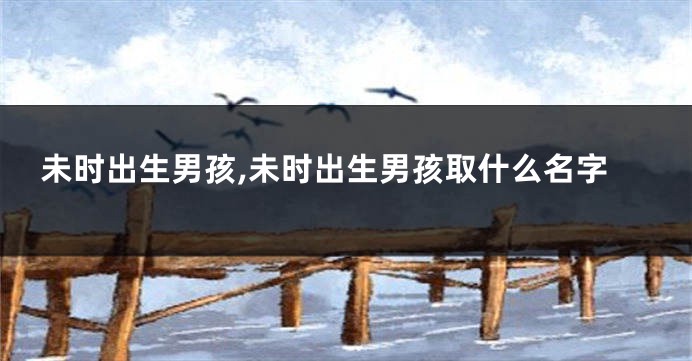未时出生男孩,未时出生男孩取什么名字