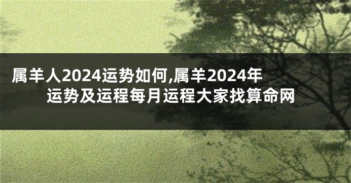 属羊人2024运势如何,属羊2024年运势及运程每月运程大家找算命网