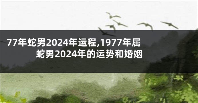 77年蛇男2024年运程,1977年属蛇男2024年的运势和婚姻