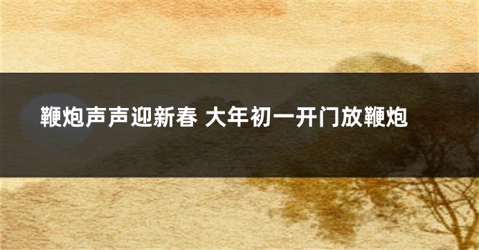 鞭炮声声迎新春 大年初一开门放鞭炮