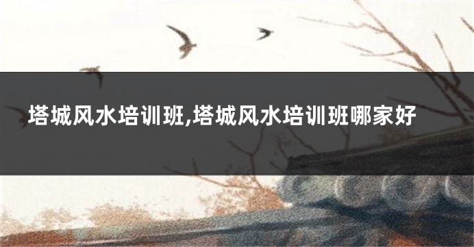 塔城风水培训班,塔城风水培训班哪家好