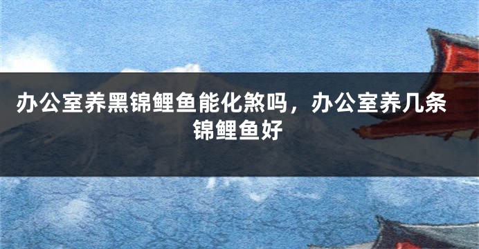 办公室养黑锦鲤鱼能化煞吗，办公室养几条锦鲤鱼好