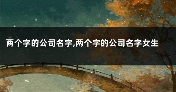 两个字的公司名字,两个字的公司名字女生