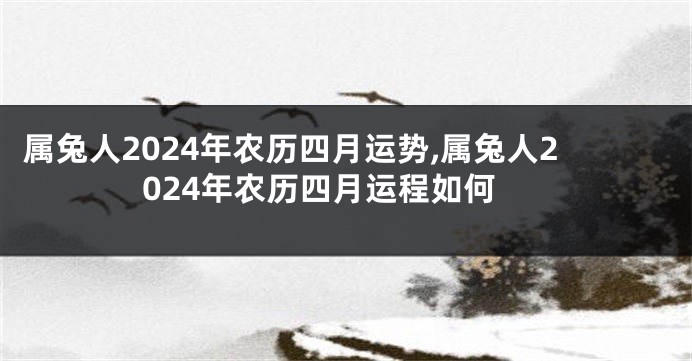 属兔人2024年农历四月运势,属兔人2024年农历四月运程如何