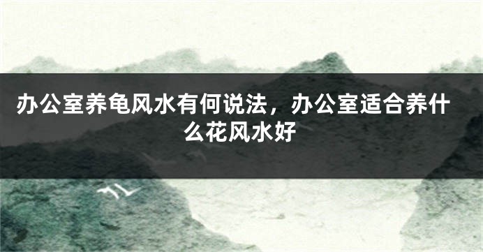 办公室养龟风水有何说法，办公室适合养什么花风水好