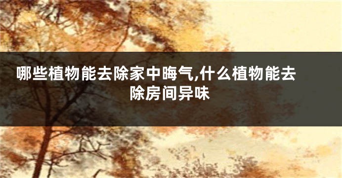  哪些植物能去除家中晦气,什么植物能去除房间异味