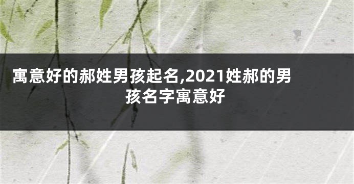 寓意好的郝姓男孩起名,2021姓郝的男孩名字寓意好