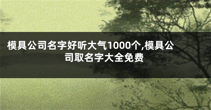 模具公司名字好听大气1000个,模具公司取名字大全免费