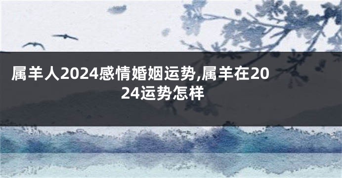 属羊人2024感情婚姻运势,属羊在2024运势怎样