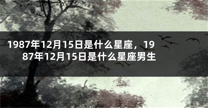 1987年12月15日是什么星座，1987年12月15日是什么星座男生