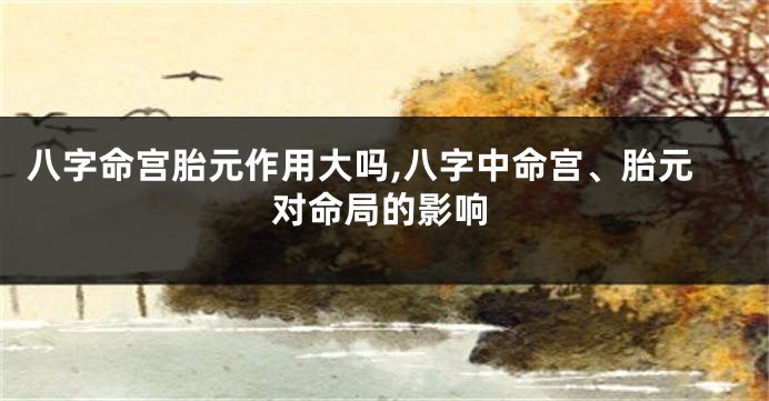 八字命宫胎元作用大吗,八字中命宫、胎元对命局的影响