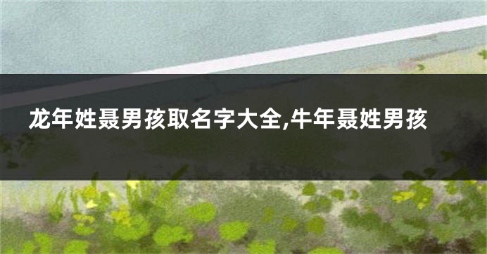 龙年姓聂男孩取名字大全,牛年聂姓男孩