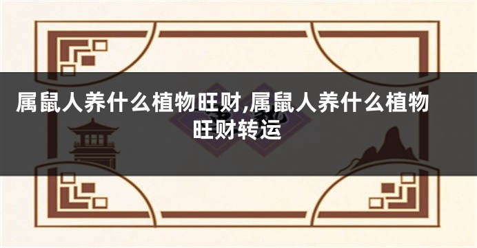 属鼠人养什么植物旺财,属鼠人养什么植物旺财转运