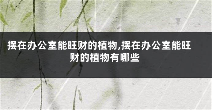 摆在办公室能旺财的植物,摆在办公室能旺财的植物有哪些