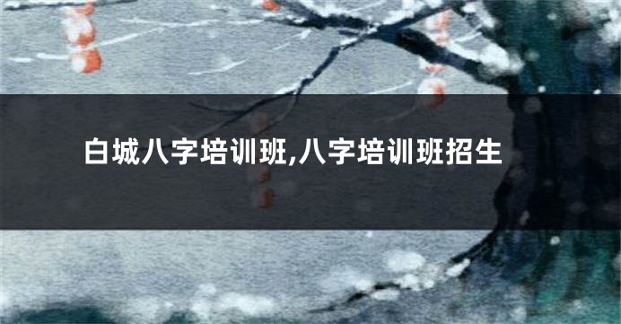 白城八字培训班,八字培训班招生