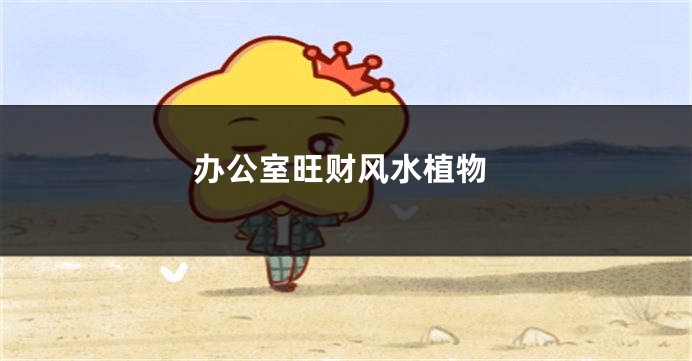 办公室旺财风水植物