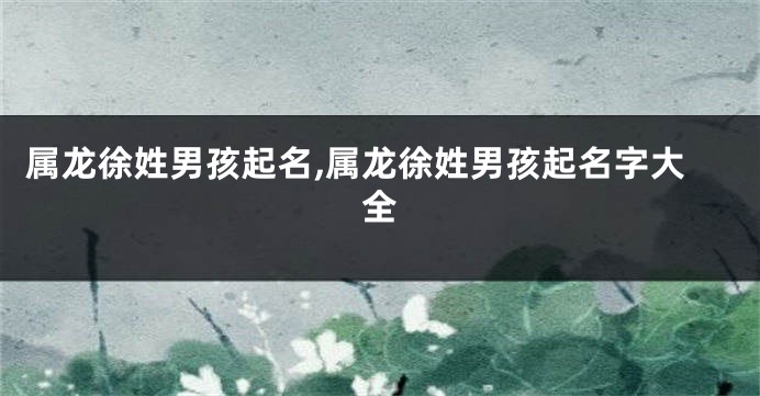 属龙徐姓男孩起名,属龙徐姓男孩起名字大全