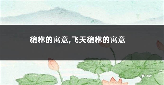 貔貅的寓意,飞天貔貅的寓意