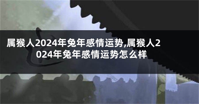 属猴人2024年兔年感情运势,属猴人2024年兔年感情运势怎么样