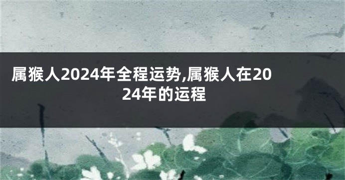 属猴人2024年全程运势,属猴人在2024年的运程