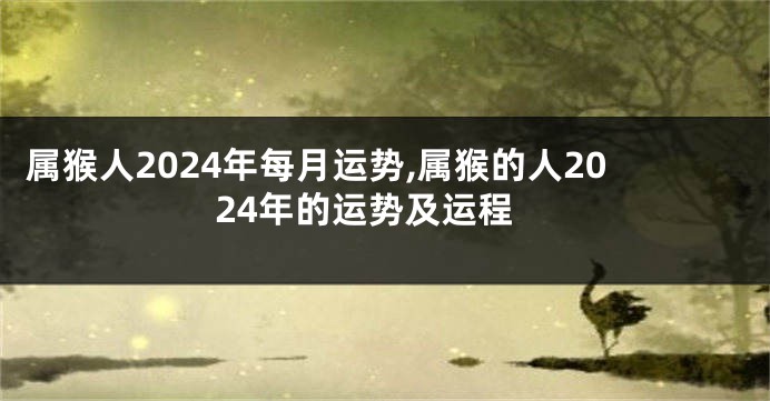 属猴人2024年每月运势,属猴的人2024年的运势及运程