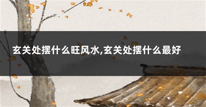 玄关处摆什么旺风水,玄关处摆什么最好