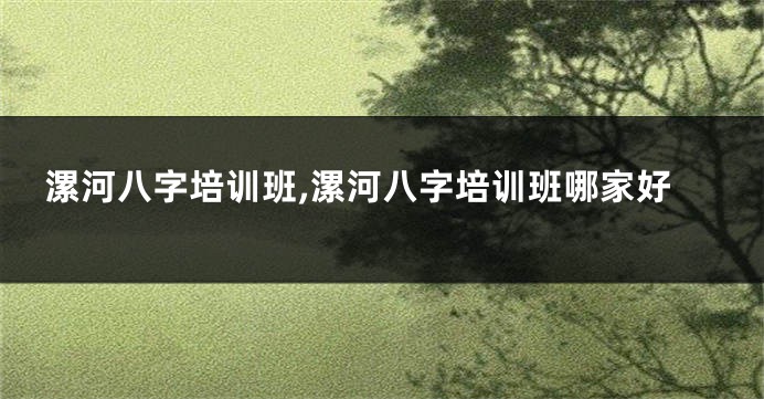 漯河八字培训班,漯河八字培训班哪家好