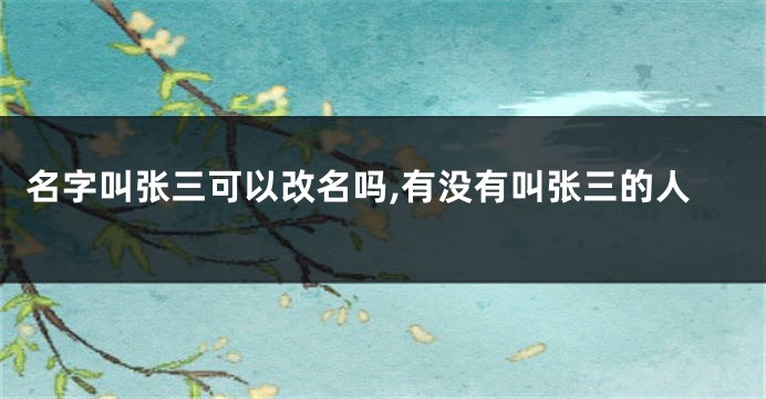 名字叫张三可以改名吗,有没有叫张三的人