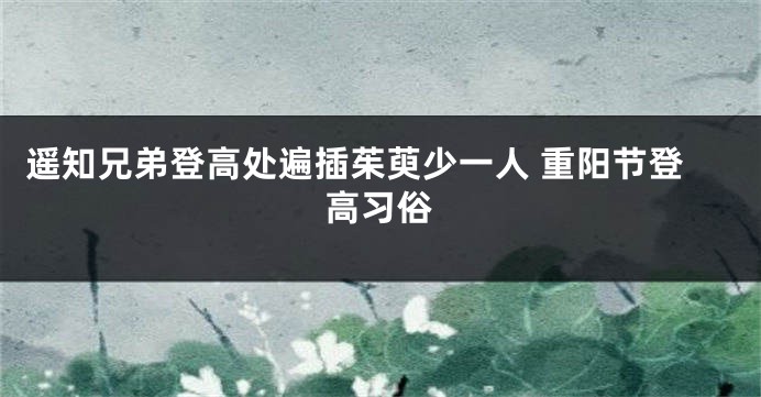 遥知兄弟登高处遍插茱萸少一人 重阳节登高习俗