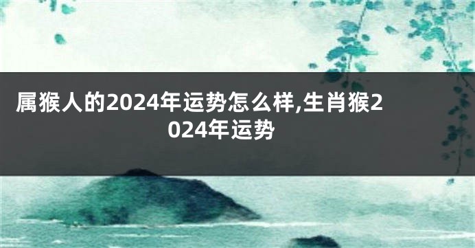 属猴人的2024年运势怎么样,生肖猴2024年运势