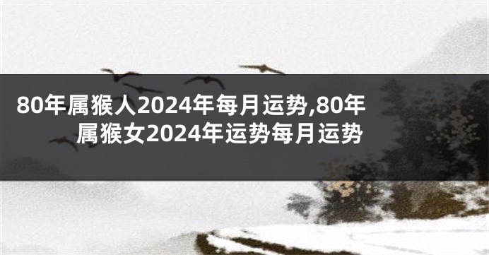 80年属猴人2024年每月运势,80年属猴女2024年运势每月运势