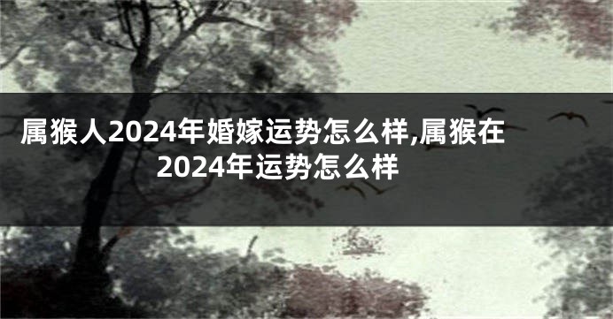 属猴人2024年婚嫁运势怎么样,属猴在2024年运势怎么样